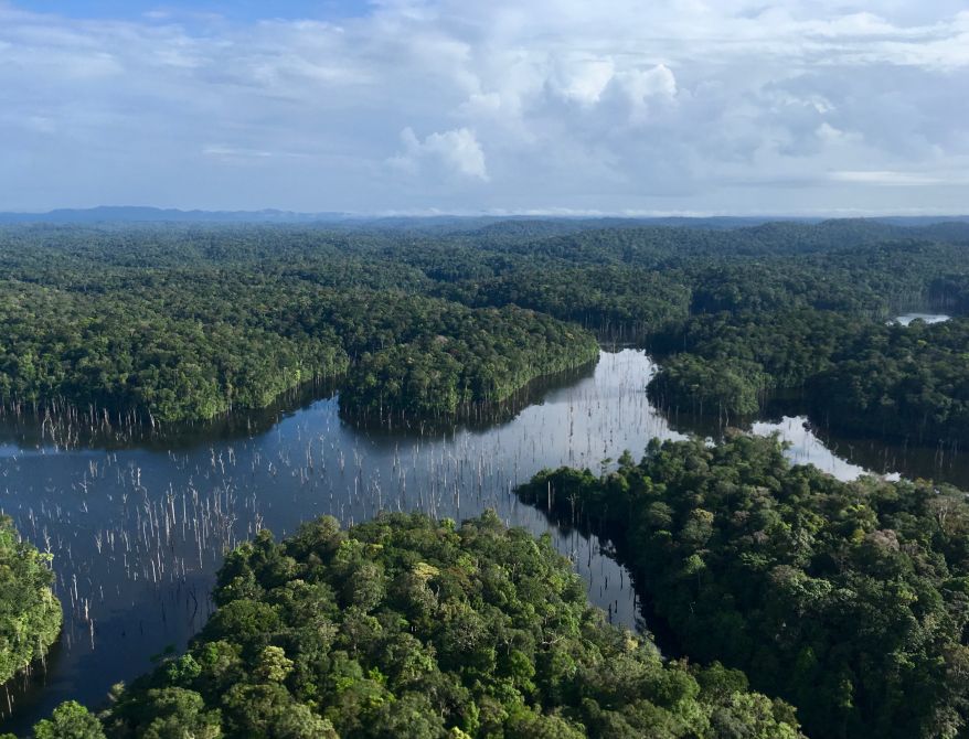 Découvre la Guyane : Forêt, amazonie, terres, Nature - Yana-J